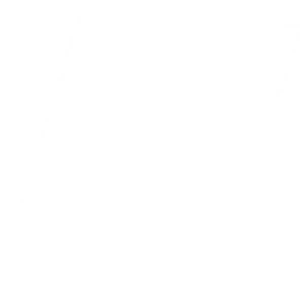 Comprehensive digital marketing strategies