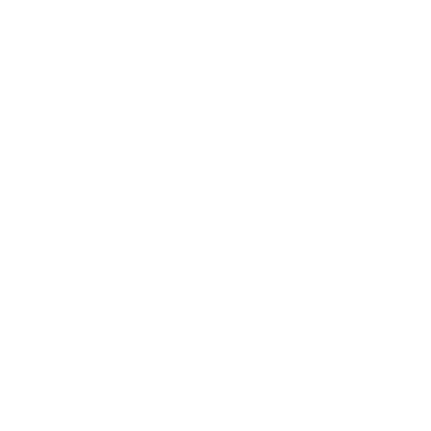 Constant Optimisation