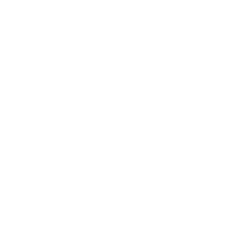 Custom Content Creation