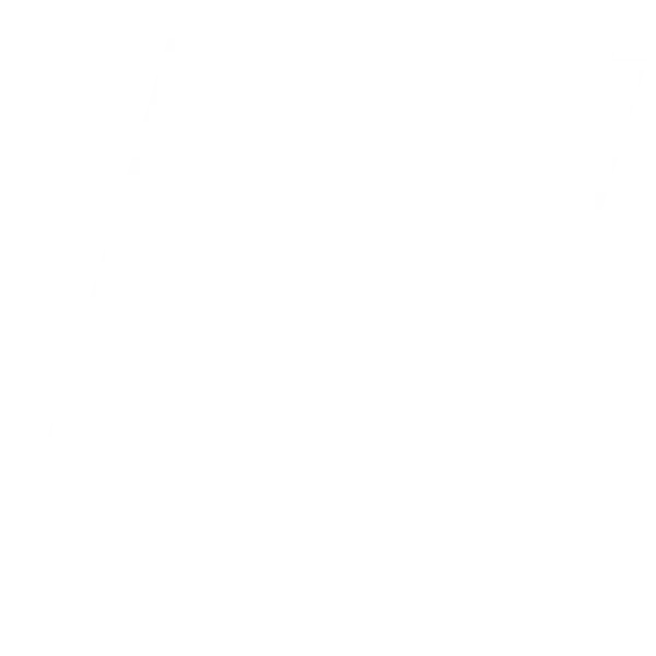 Custom web development