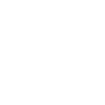 Data Interpretation and Visualisation