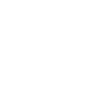 Data Visualisation