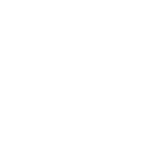 Digital Responsive Options