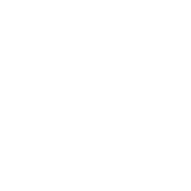 Expertise in Custom Design