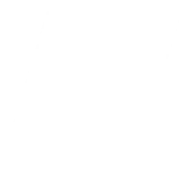 High-end app development
