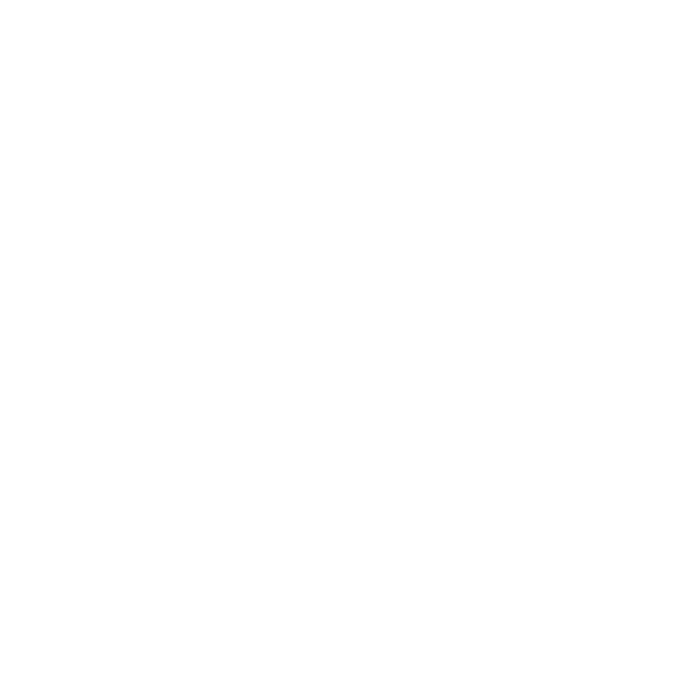 Interactive Prototypes