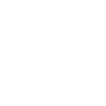 Meta Tags and Descriptions