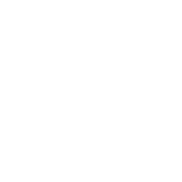 Speed Optimisation