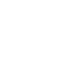 Web Application