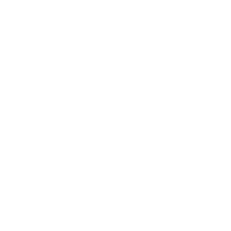 Website Audit and Analysis